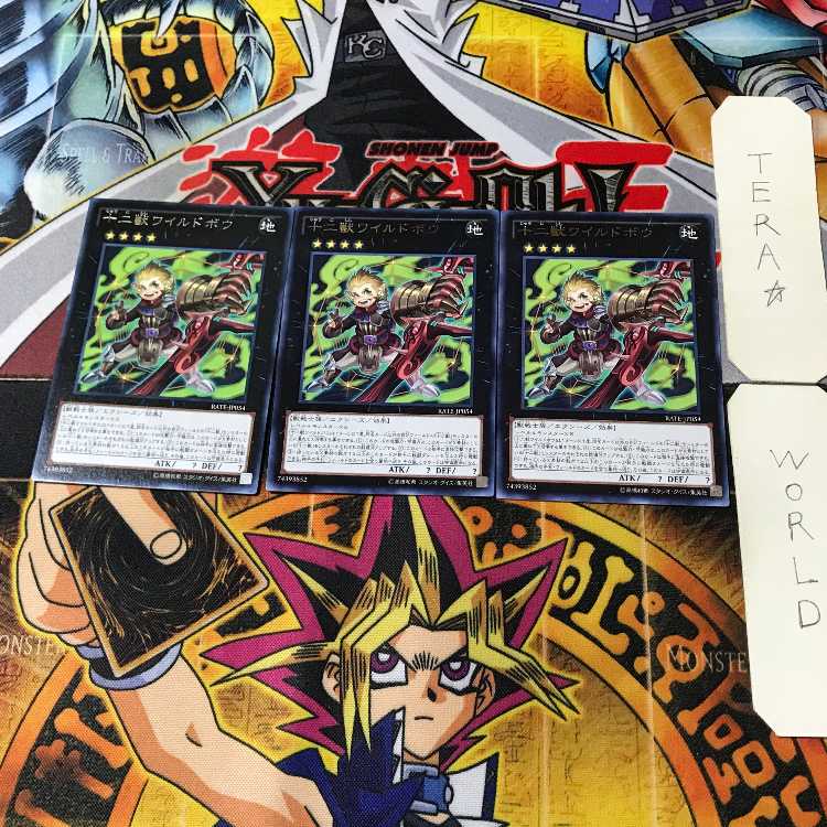 十二獣ワイルドボウ 10 レア 3枚セット てら