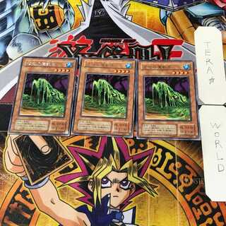 沼地の魔獣王 2期ver 4 レア 3枚セット てら