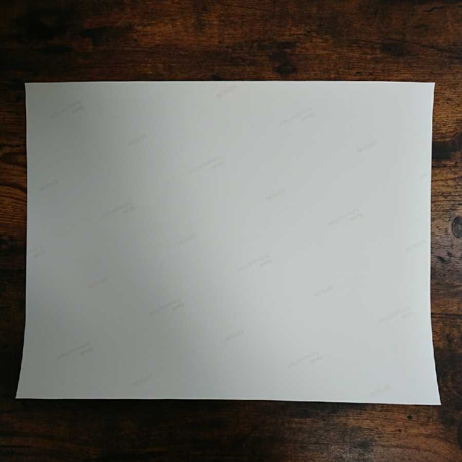 ファイレクシアの抹消者 シャドーサイン入りアートプリント/複製原画