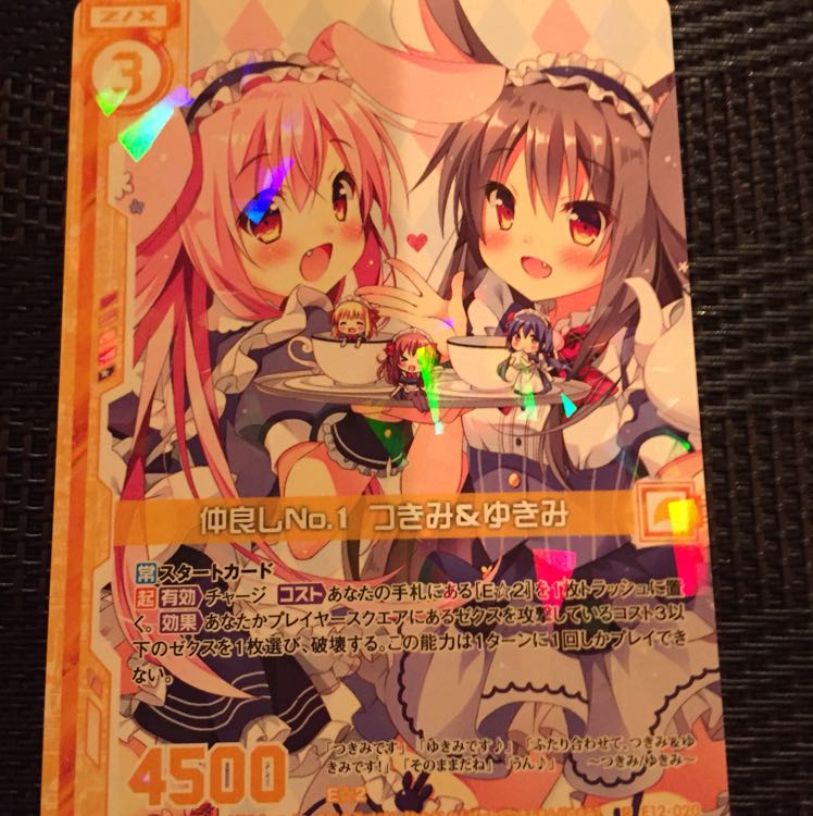 E12-020仲良しNo.1つきみ＆ゆきみ