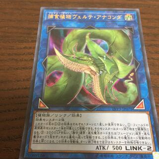 捕食植物ヴェルテ・アナコンダ UR