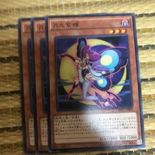 マドレース 月光紫蝶 N