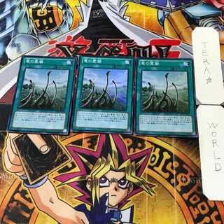 Dragon Shrine 6 Super Set of 3 Tera