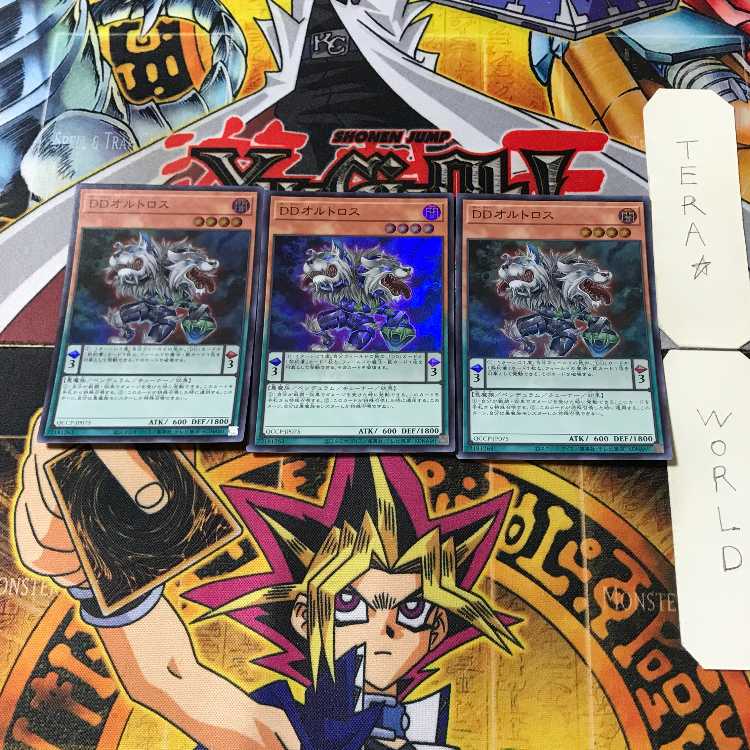 DDオルトロス 1 スーパー 3枚セット てら