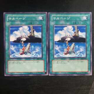 Salvage Normal JP023 (set of 2)