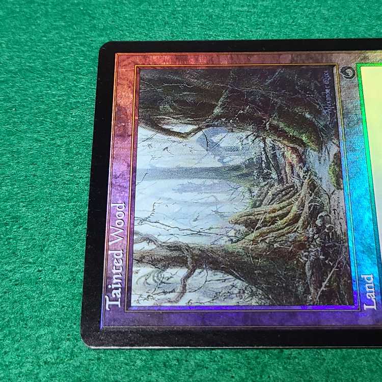 Foil] English Tainted Wood Uncommon 143/143