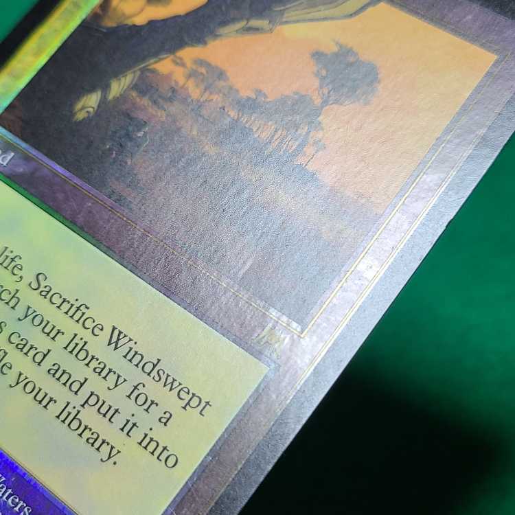 マジック：ザ・ギャザリング - 【Foil】英語 吹きさらしの荒野 レア 328/350 Foil】英語 吹きさらしの荒野 レア 328/350の通販 トウテツ