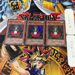 椿姫ティタニアル 3 スーパー 3枚セット てら