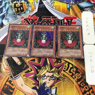 椿姫ティタニアル 4 スーパー 3枚セット てら