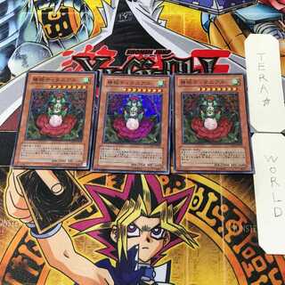 椿姫ティタニアル 5 スーパー 3枚セット てら