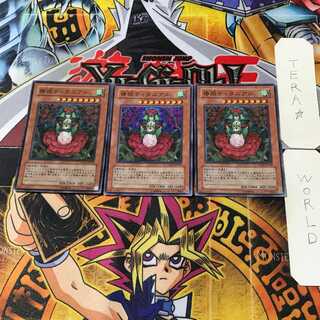 椿姫ティタニアル 6 スーパー 3枚セット てら