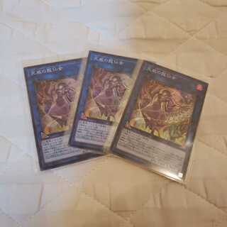 天威の龍仙女 SR