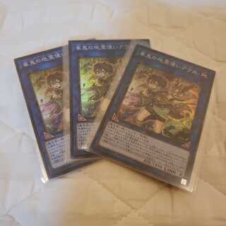 崔嵬の地霊使いアウス SR