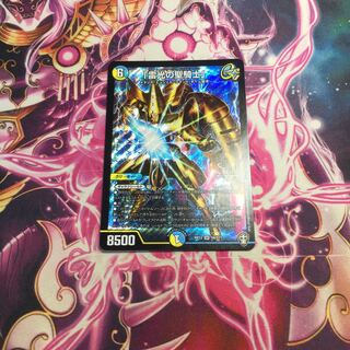 「雷光の聖騎士」