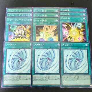 804 ダブル・アップ・チャンス、レベル調整、光の継承、ブリザード