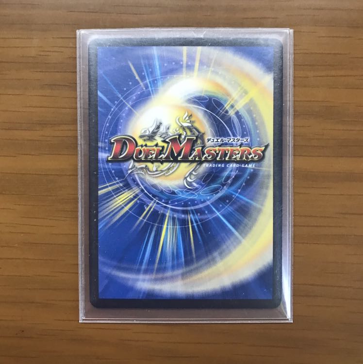 「絶対の楯騎士」