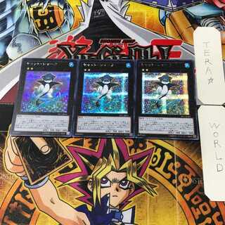 Cat Shark 1 Secret Set of 3 Tera