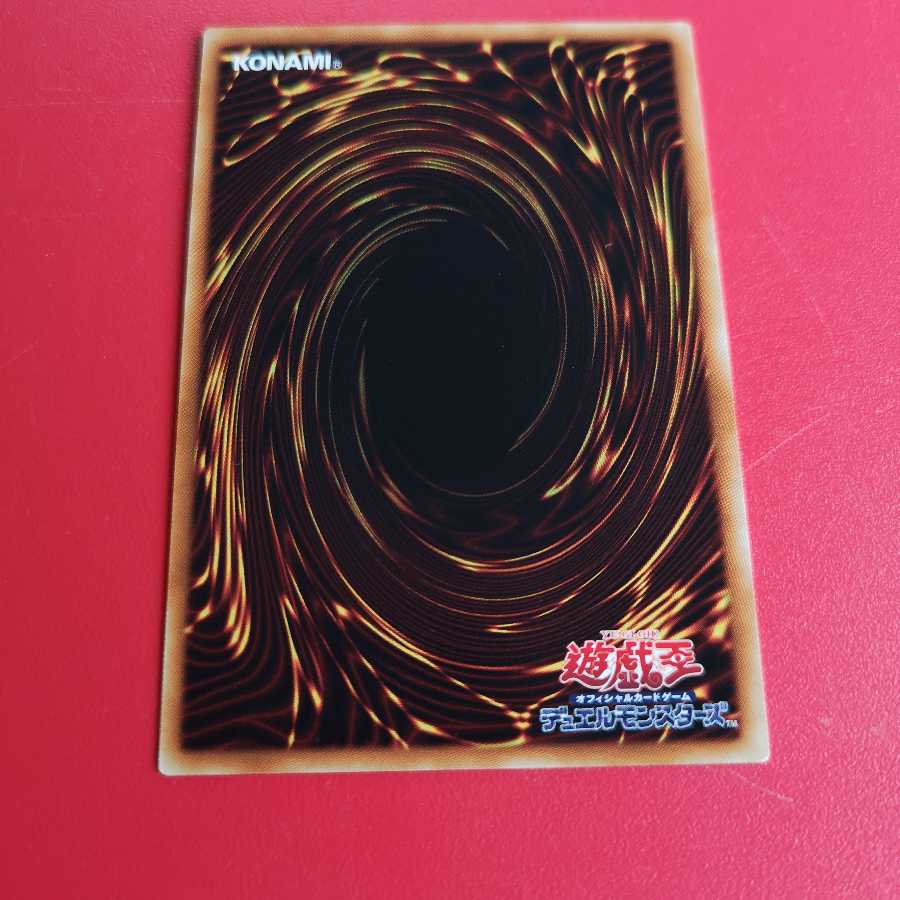 Y氏様　専用　失楽の堕天使 SE　LVP-JP091