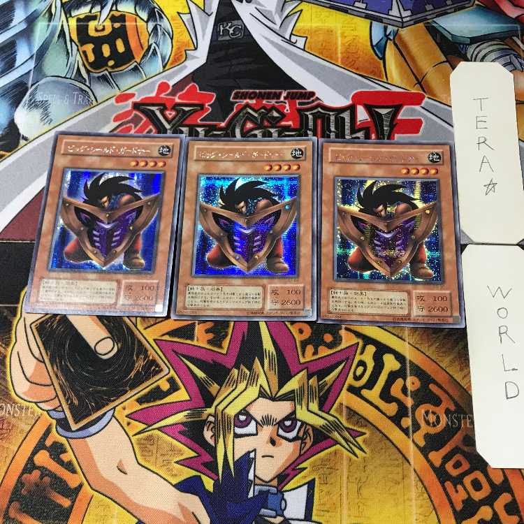 Big Shield Gardna 2nd period ver 2 Secret Set of 3 Tera