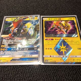 カプ・コケコ 二種類