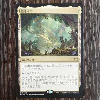 Sambongi City Rare 0260