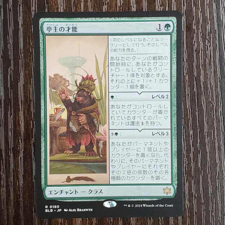 Husband's talent Rare 0180