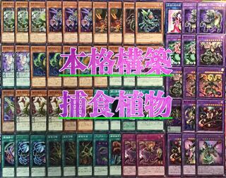 Full-scale construction [Prey Upon Plants] Deck Rosaan & EX 15 cards & Sleeve Set