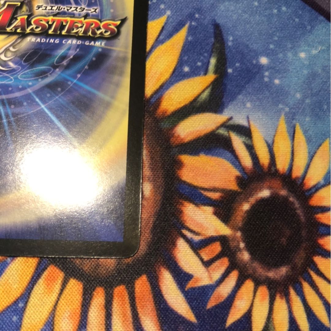 戦極竜ヴァルキリアス・ムサシ SE シークレット