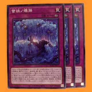 ROTA77N 蕾禍ノ曝藤 3枚