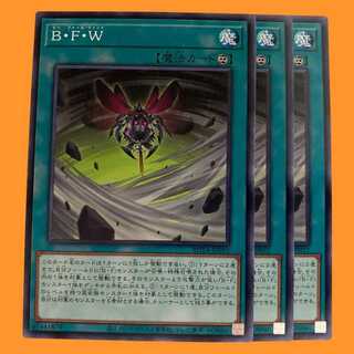 ROTA52N Ｂ・Ｆ・Ｗ 3枚