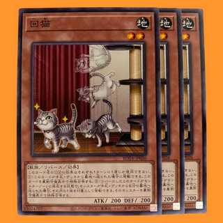ROTA26N 回猫 3枚