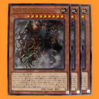 ROTA21R 地下牢の徊神 3枚