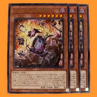 ROTA12R 天上天下百鬼羅刹 3枚