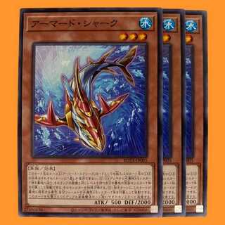 ROTA03N アーマード・シャーク 3枚