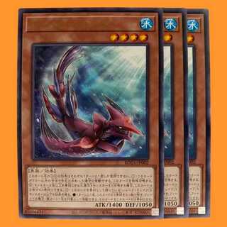 ROTA02R ドレイク・シャーク 3枚