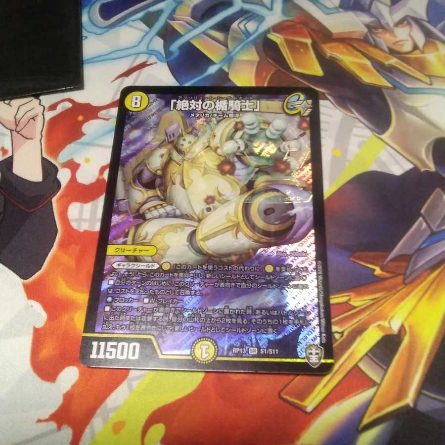 「絶対の楯騎士」