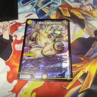 「絶対の楯騎士」