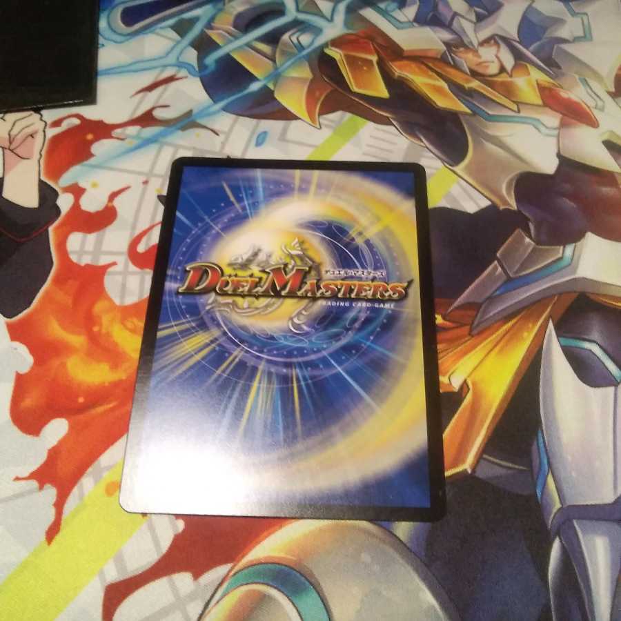 「絶対の楯騎士」