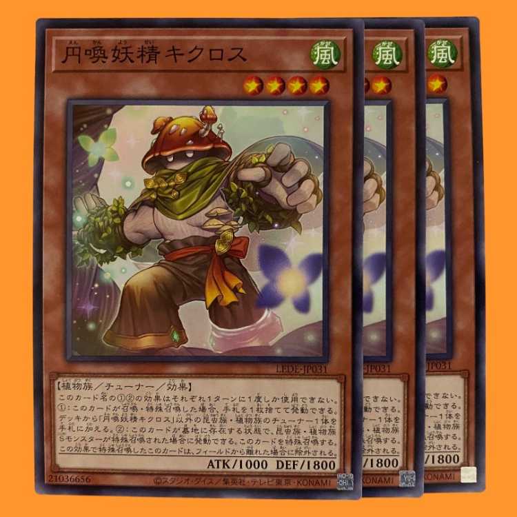 LEDE31N 円喚妖精 キクロス 3枚