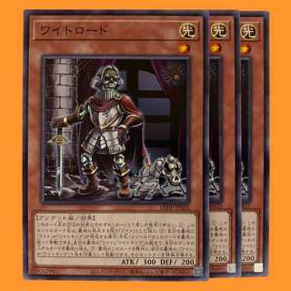 LEDE25N ワイトロード 3枚