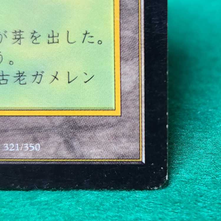 Japanese (language) Gaea's Cradle Rare 321/350