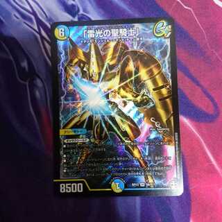 「雷光の聖騎士」