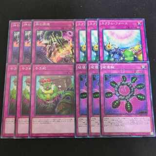 810 Ring of Destruction, Waking the Dragon, Ultimate Providence, Scrum Force