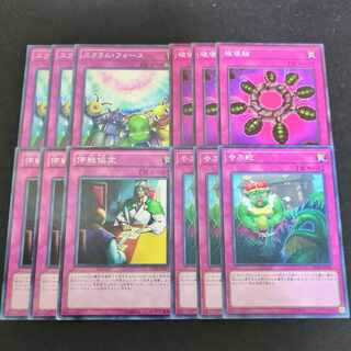 815 Waking the Dragon, Ring of Destruction, Scrum Force, Truce Agreement