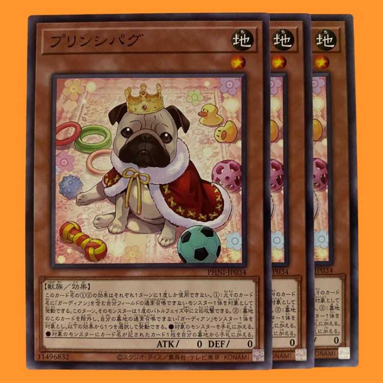 PHNI34N プリンシパグ 3枚