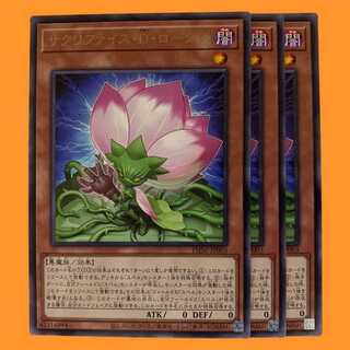 PHNI03R サクリファイス・Ｄ・ロータス 3枚