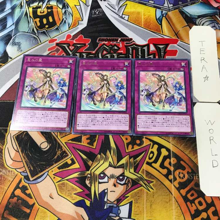 恵みの風 CHIM 6 レア 3枚セット てら