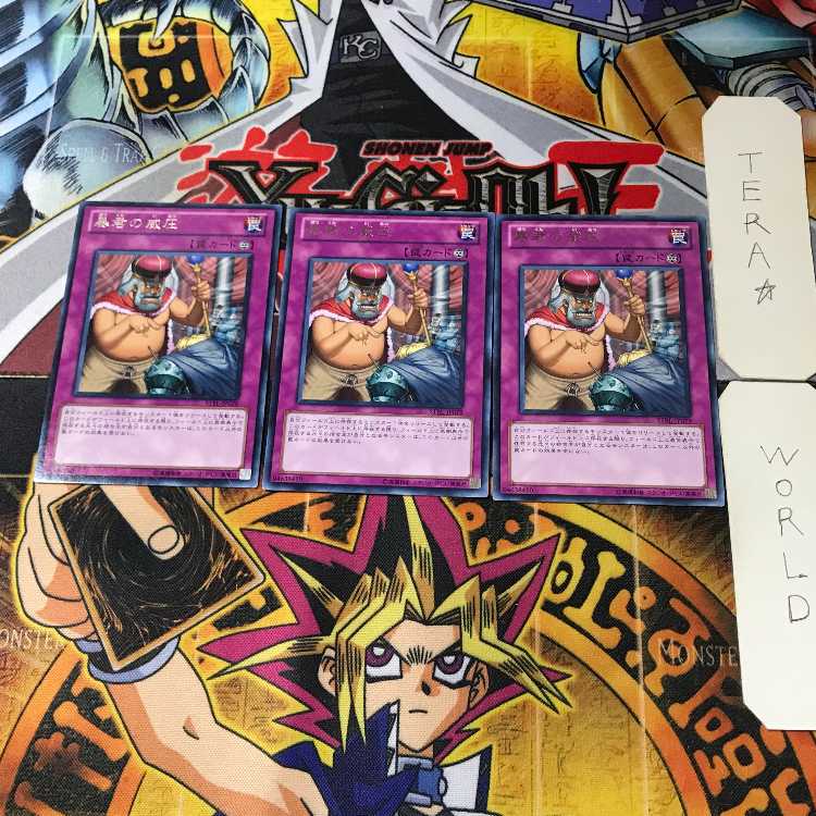暴君の威圧 STBL 4 レア 3枚セット てら