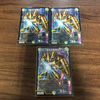 「雷光の聖騎士」