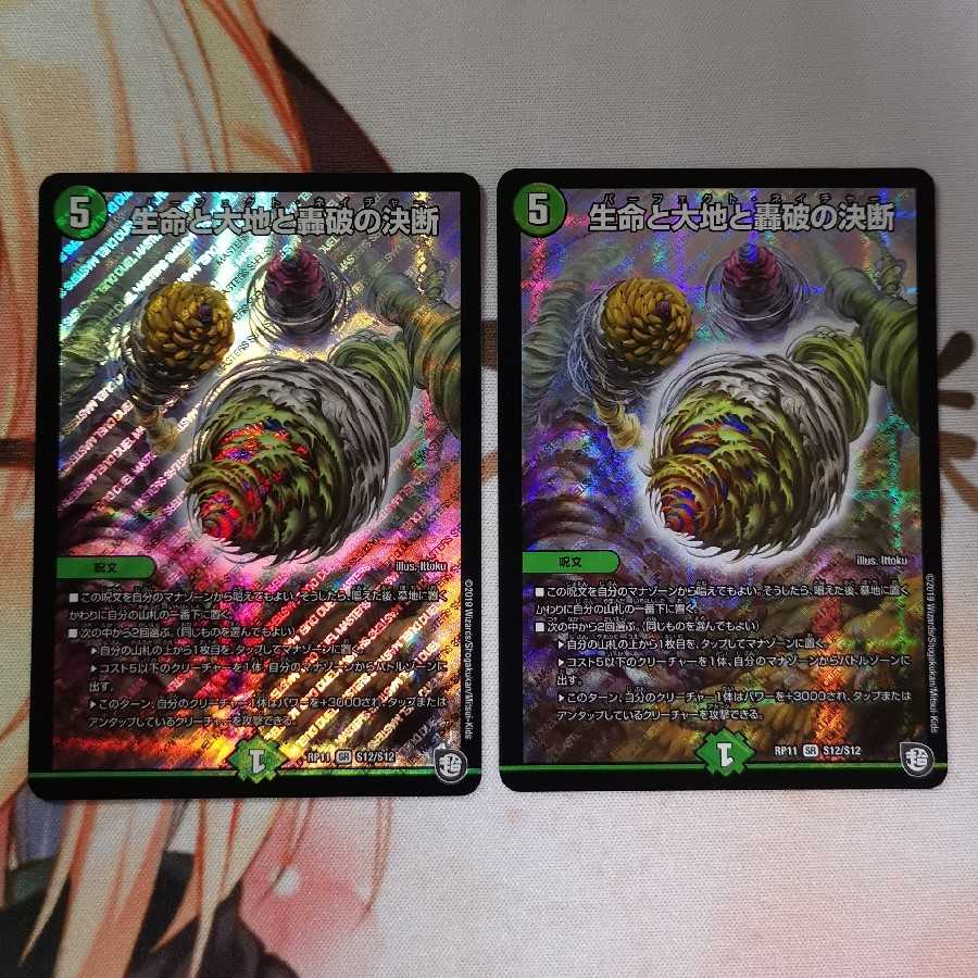 生命と大地と轟破の決断